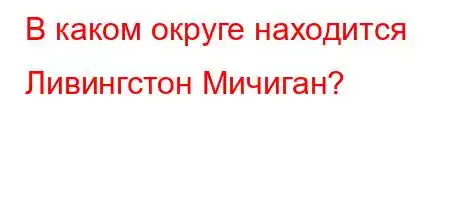 В каком округе находится Ливингстон Мичиган?